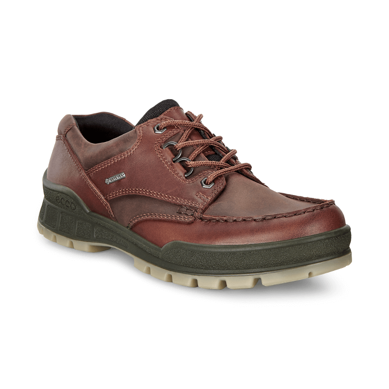 Men's ECCO 25 Low - Bison Stan's For Your Feet