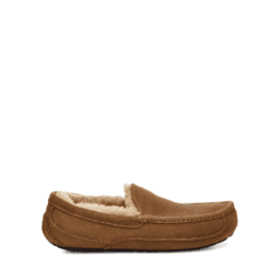 Men's UGG Ascot Slipper - Tan | Stan's Fit For Your Feet