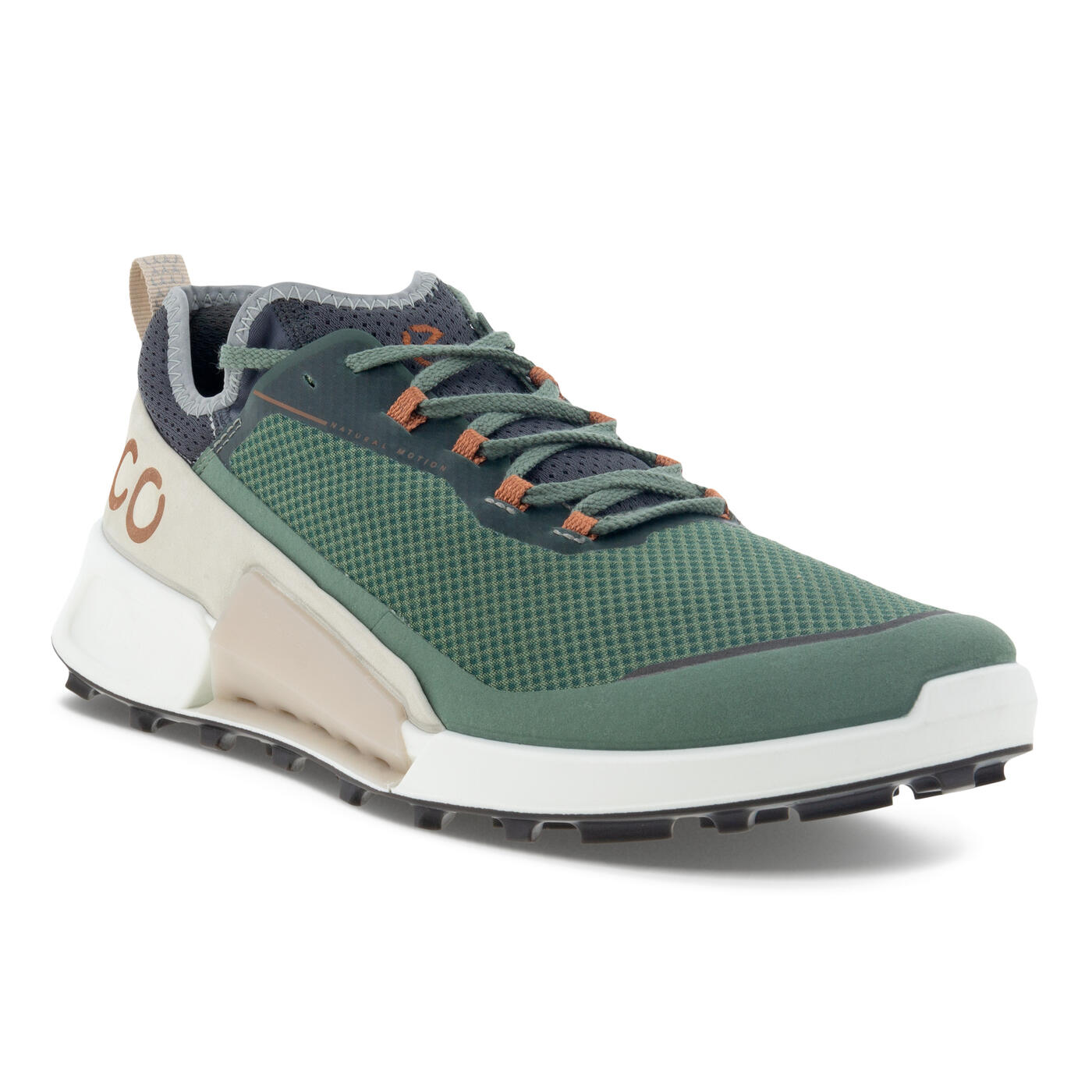 Men's Ecco Biom 2.1 Tex - Frosty Green | Fit For Your Feet